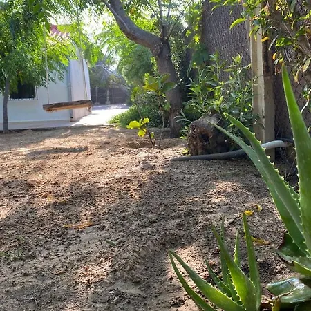 Terreta Piscina Y Playa